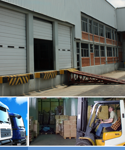 Desarrollo San Carlos