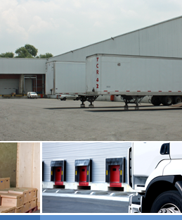 Desarrollo San Carlos